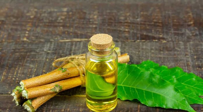 L'olio di neem è abbastanza efficace nel liberare le piante grasse dai parassiti.