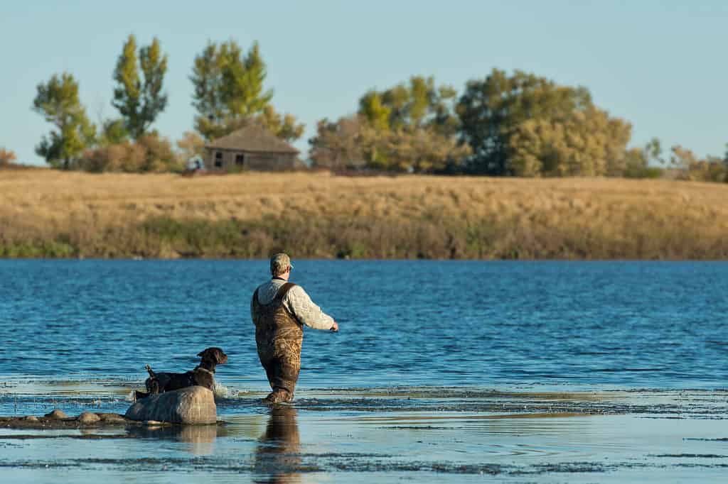 Un cacciatore di anatre e il suo cane da caccia in una zona umida del Nord Dakota