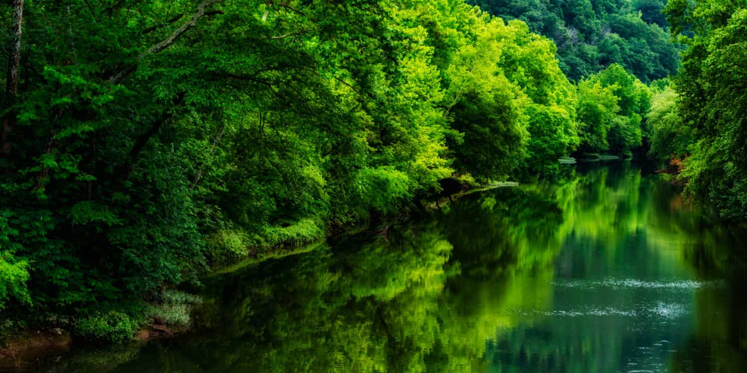 Mattinata estiva lungo il fiume Elk a Sutton, Braxton County, West Virginia, USA