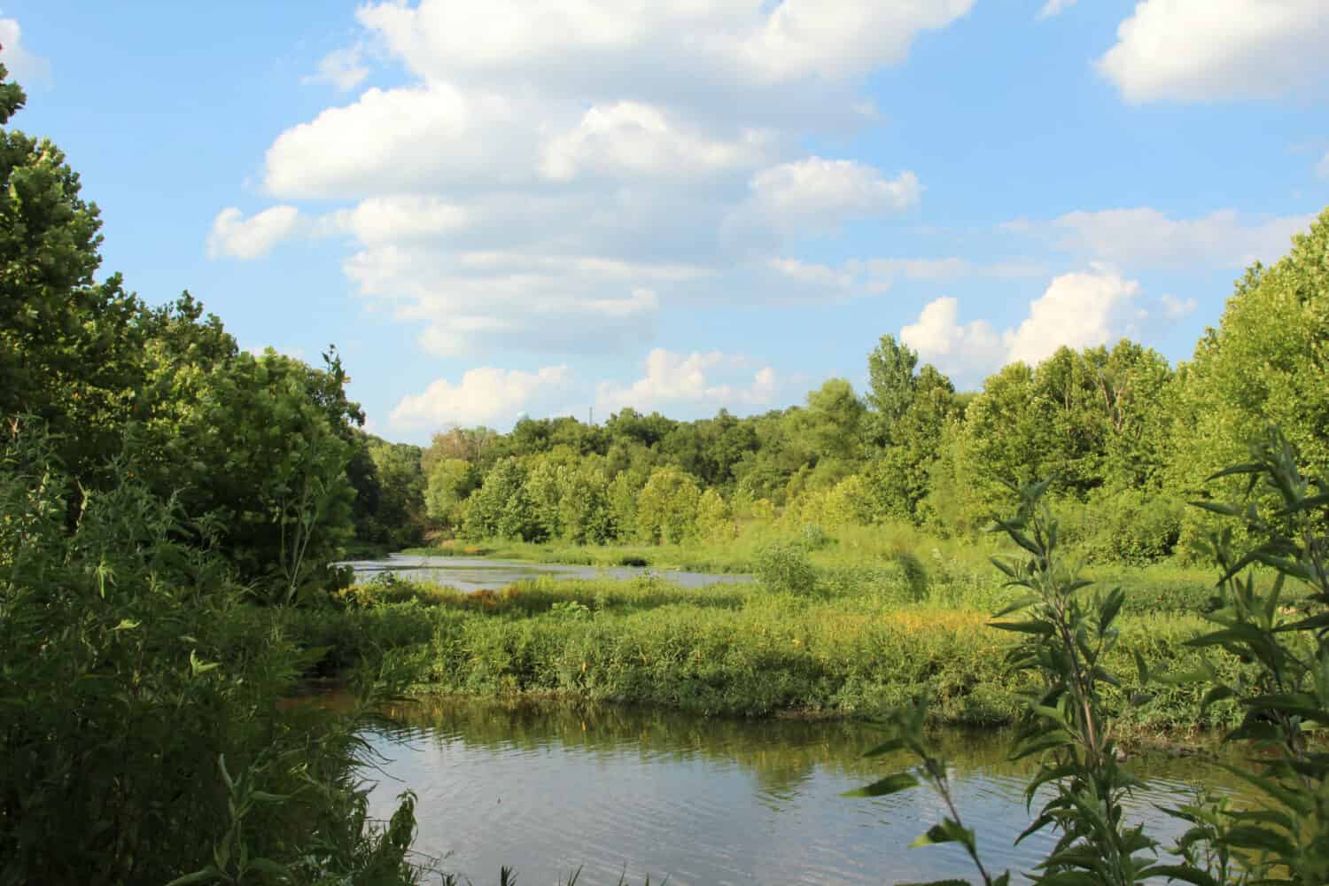 La tranquilla scena estiva lungo Sugar Creek ai piedi delle montagne Ozark nell'Arkansas nordoccidentale accentua il motivo per cui l'Arkansas è noto come lo stato naturale.