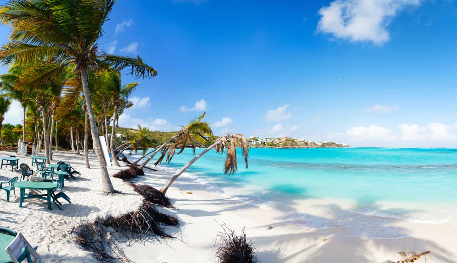 Bellissima spiaggia incorniciata da palme e caffè sul mare sull'isola caraibica di Anguilla