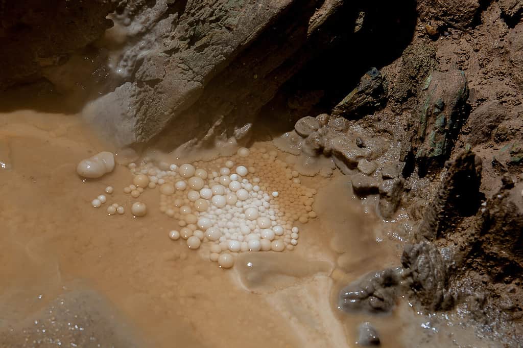 Perle di grotta nella grotta carsica Leningradskaya.  Montagne del Caucaso.  Abkhazia.