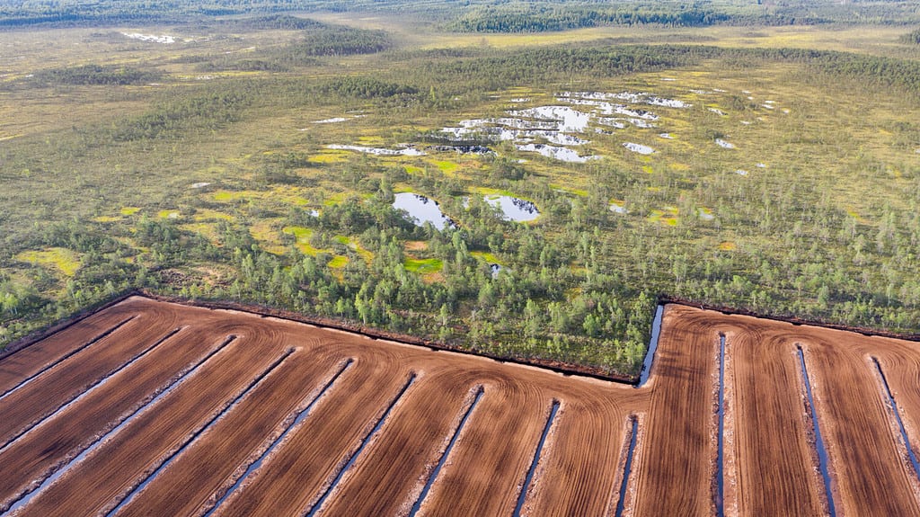 Veduta aerea del paesaggio palustre con i restanti elementi naturali e l'area distrutta dall'estrazione della torba.  Questa attività ha un forte impatto sulla protezione dell'acqua, sulla biodiversità e sui cambiamenti climatici