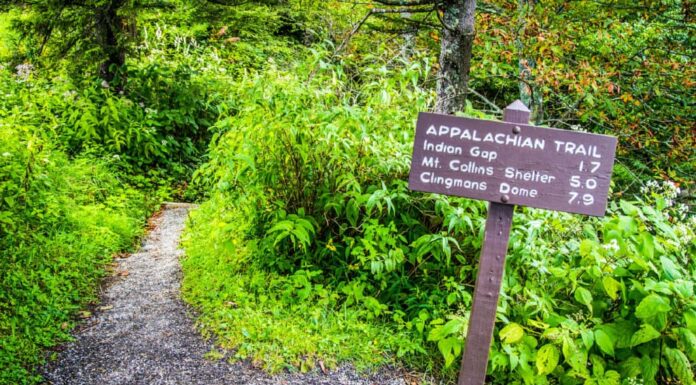 Appalachian Trail, Escursionismo, Segno, Great Smoky Mountains, Veduta dall'alto