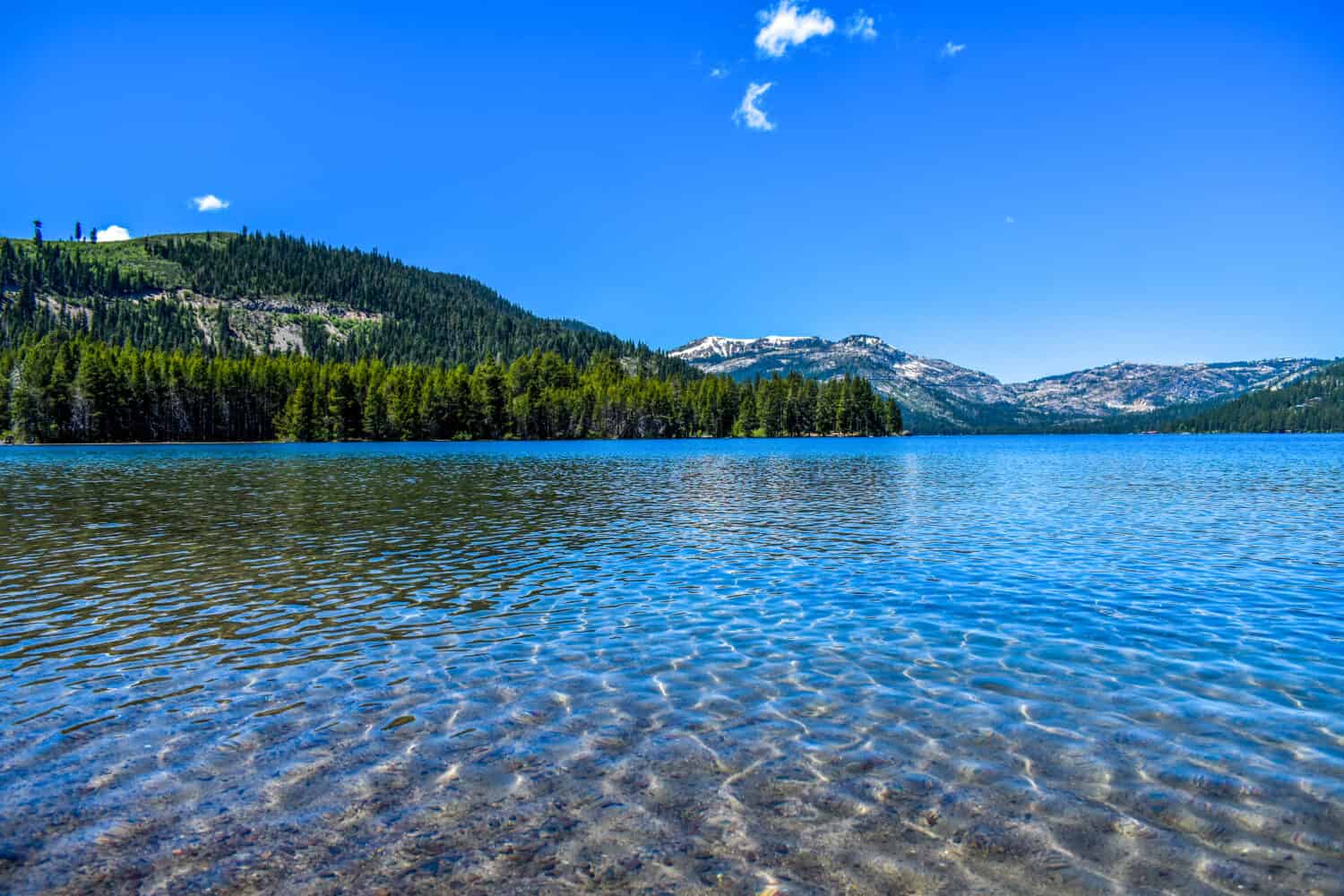 Bellissimo lago Donner a Truckee, California.  giugno 2020.