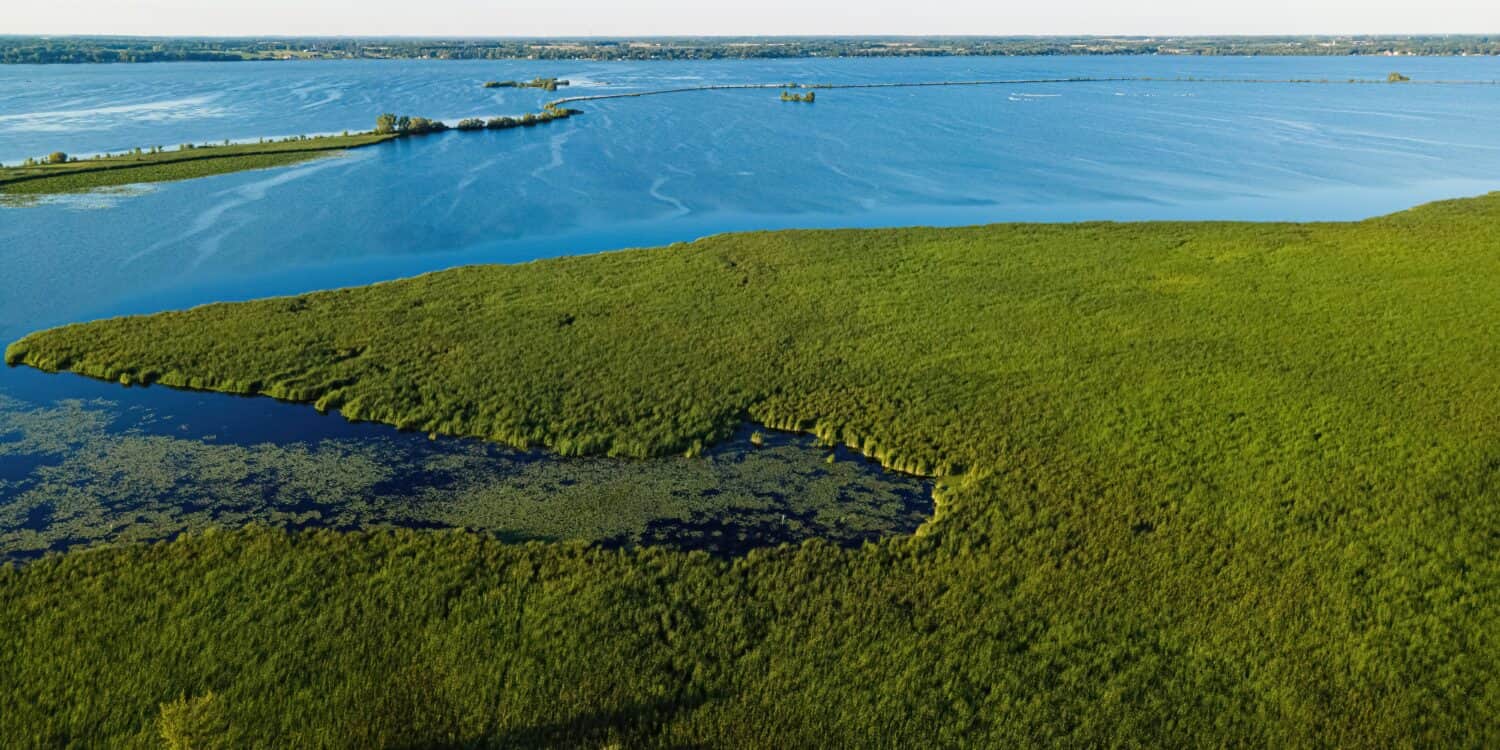 Vista estiva della riva lungo il fiume fox vicino a oshkosh nel wisconsin