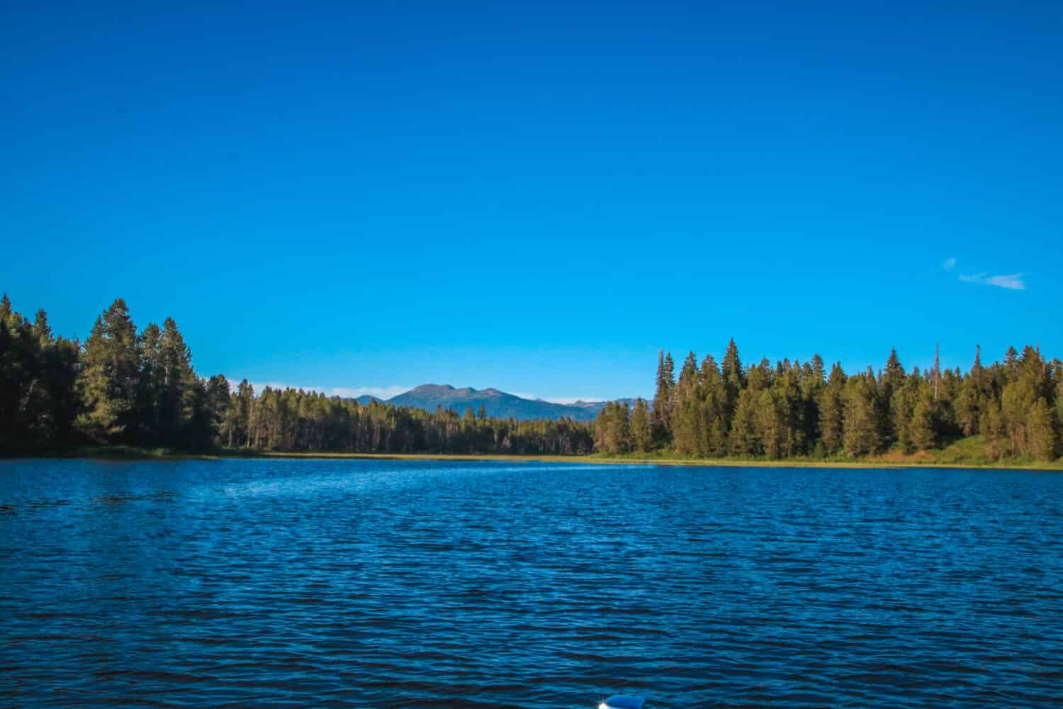 Vista delle montagne e dei pini dal lago Cascade a Donnelly, Idaho