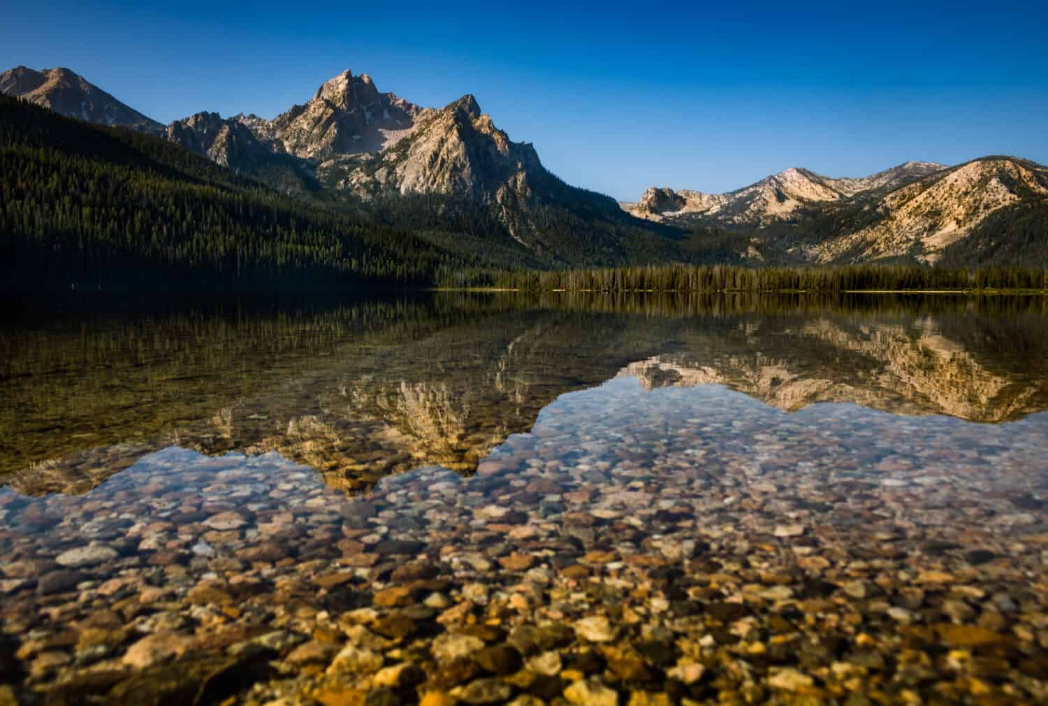 Riflessioni mattutine sul lago Stanley nell'Idaho Sawtooth National Forest