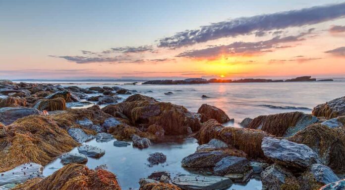 Colorato arancione, blu e rosa HDR sunrise vista sul mare della costa rocciosa al Sachuest Point Wildlife Refuge a Middletown Rhode Island.  / Rocky Sunrise Seascape HDR in America.