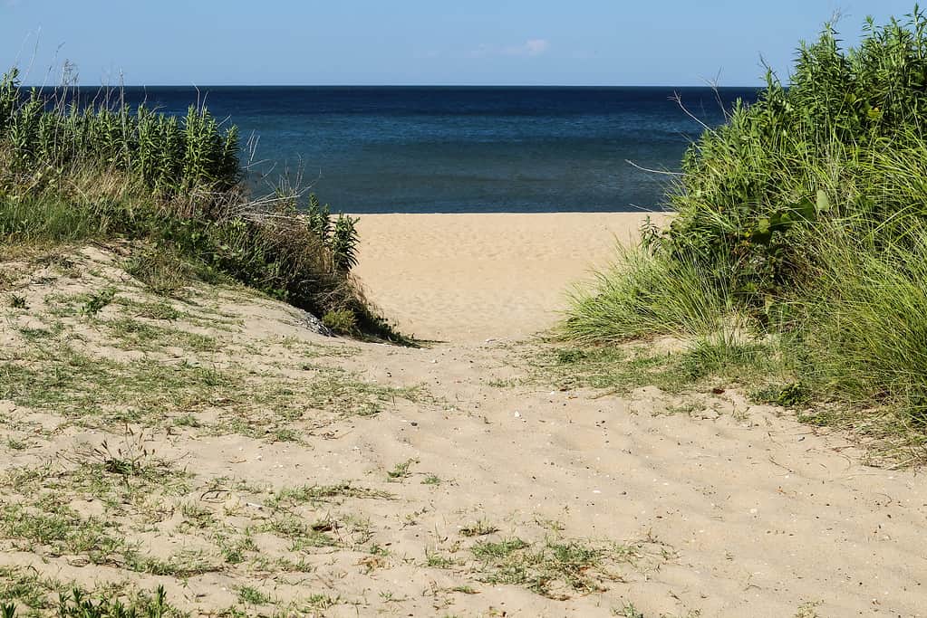 Ocean View Beach VA