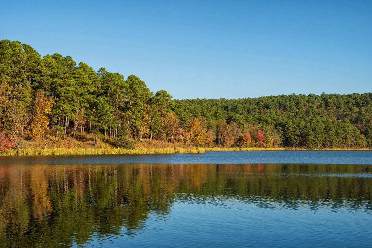 Colori autunnali che riflettono su Cedar Lake nel sud-est dell'Oklahoma contro il cielo blu di novembre