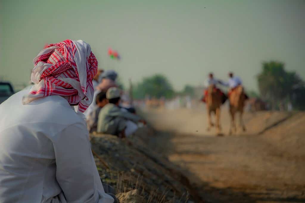 Assistere alla tradizionale corsa di cammelli dell'Oman a Ibri, Oman.