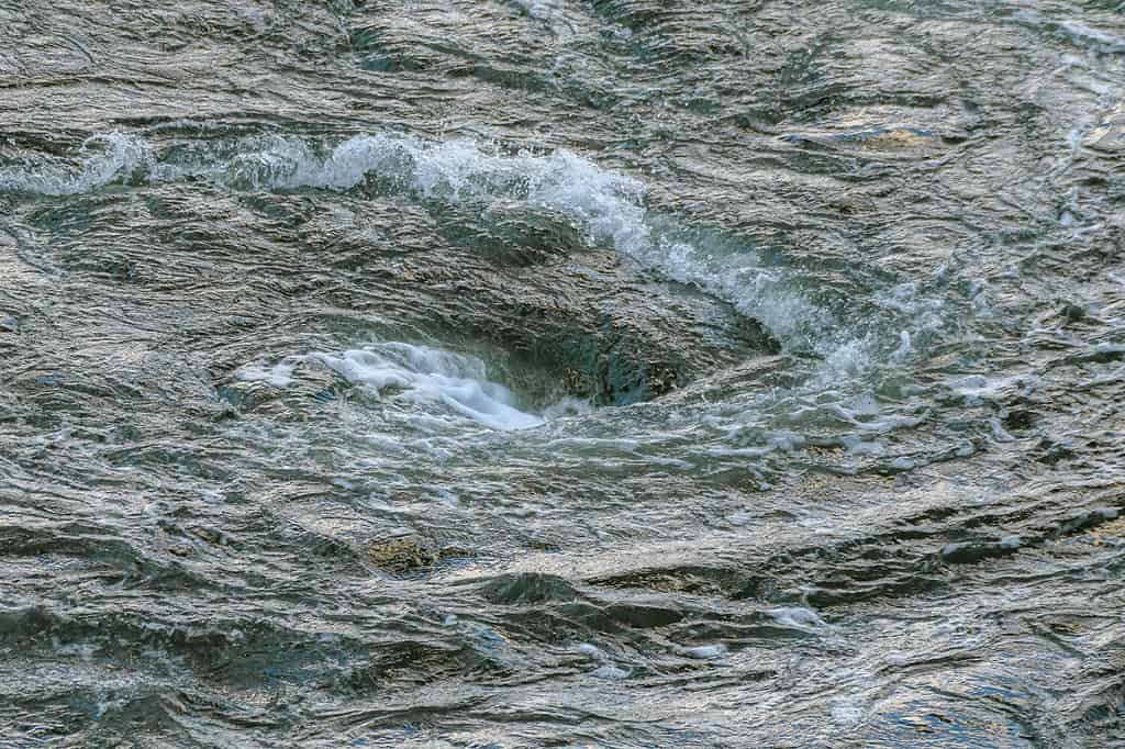 Un piccolo ma turbolento vortice si è formato nel punto in cui un fiume incontra un porto.  Molti spruzzi e schiuma nell'acqua colorata di verde scuro.