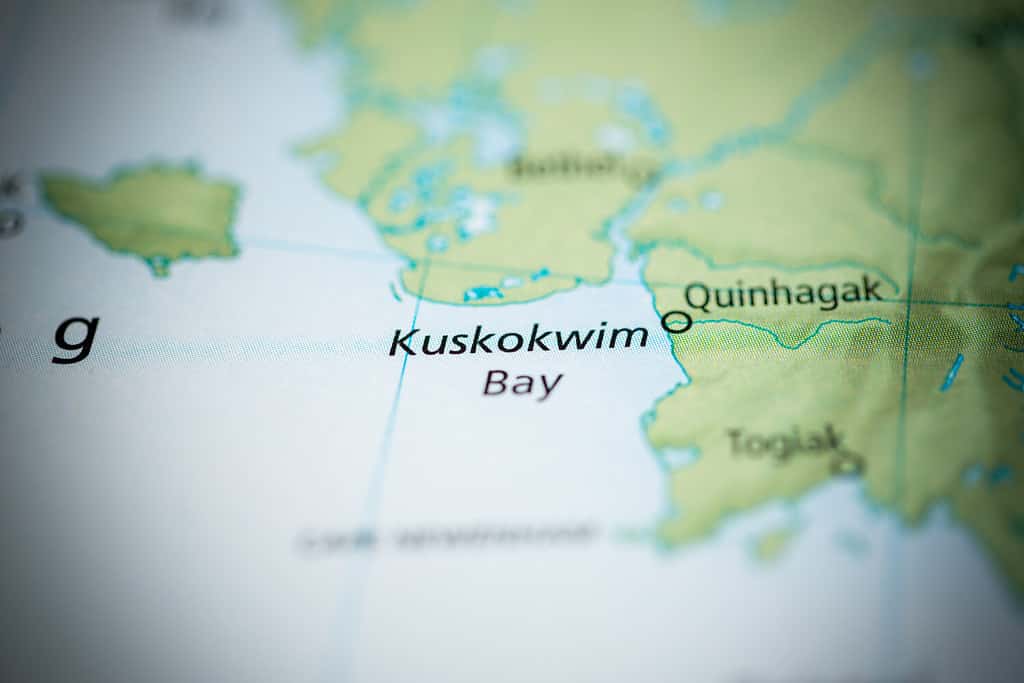 Baia di Kuskokwim.  Alaska.  Stati Uniti d'America