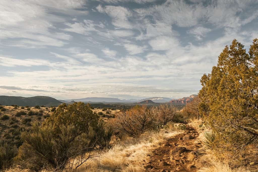 Sentiero escursionistico presso la famosa escursione ad anello dell'aeroporto Mesa a Sedona in Arizona USA sud-ovest durante il giorno con belle nuvole nel cielo che guarda ad ovest.