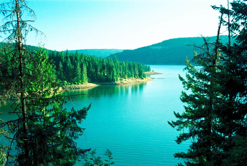 La più grande diga dell'Idaho, la diga di Dworshak, forma il bacino idrico di Dworshak.