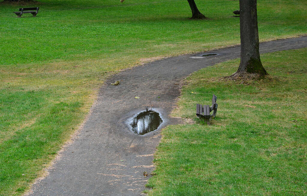 Parco con terreno troppo compatto e impermeabile che non assorbe l'acqua durante le piogge e gli allagamenti.