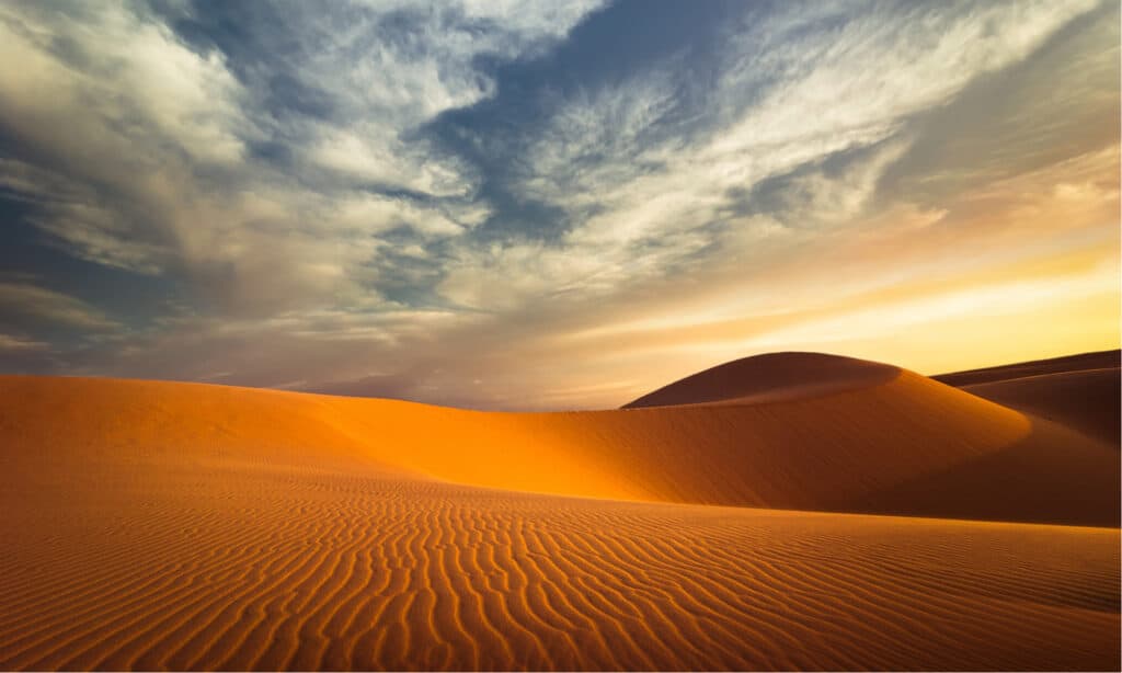 Paesi senza fiumi - Paesaggio desertico