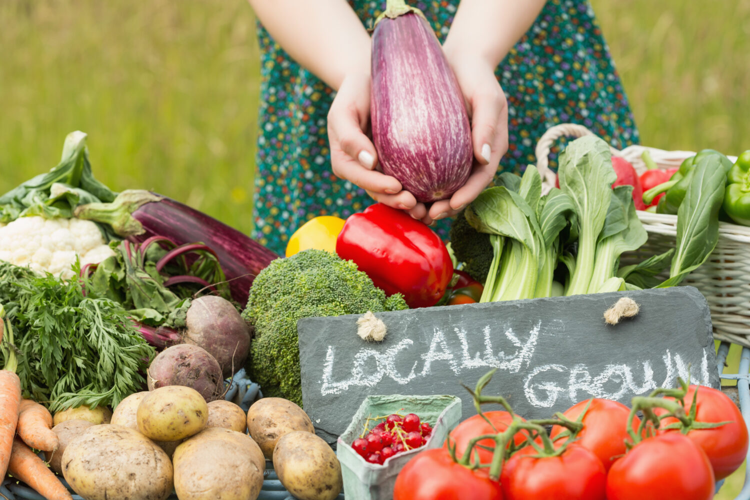 Mani femminili che tengono una melanzana sopra il tavolo delle verdure