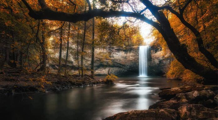 Foster cade a Sequatchie, Tennessee, Tennessee Swimming Holes