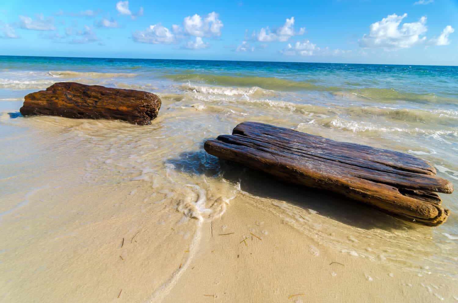 Driftwood lavaggio fino a riva di una spiaggia caraibica tropicale