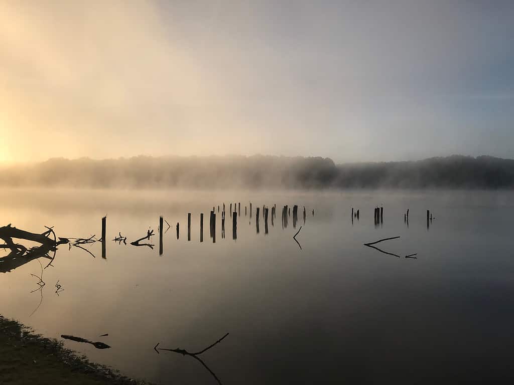 Mattinata nebbiosa sul lago