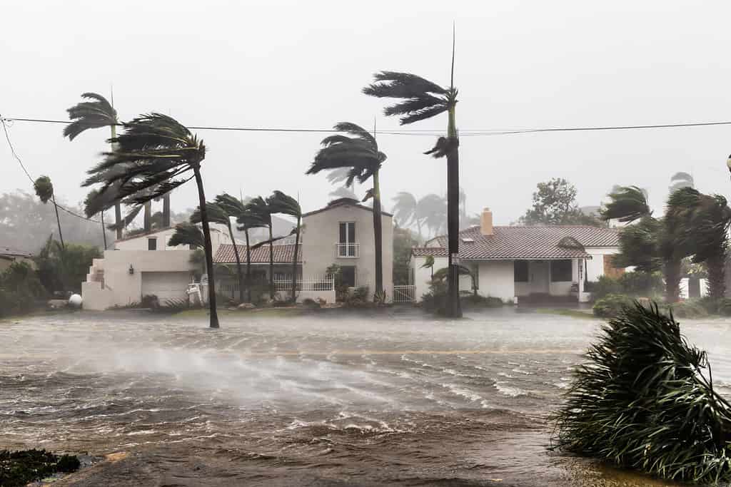 Una strada allagata dopo il catastrofico uragano Irma ha colpito Fort Lauderdale, FL.