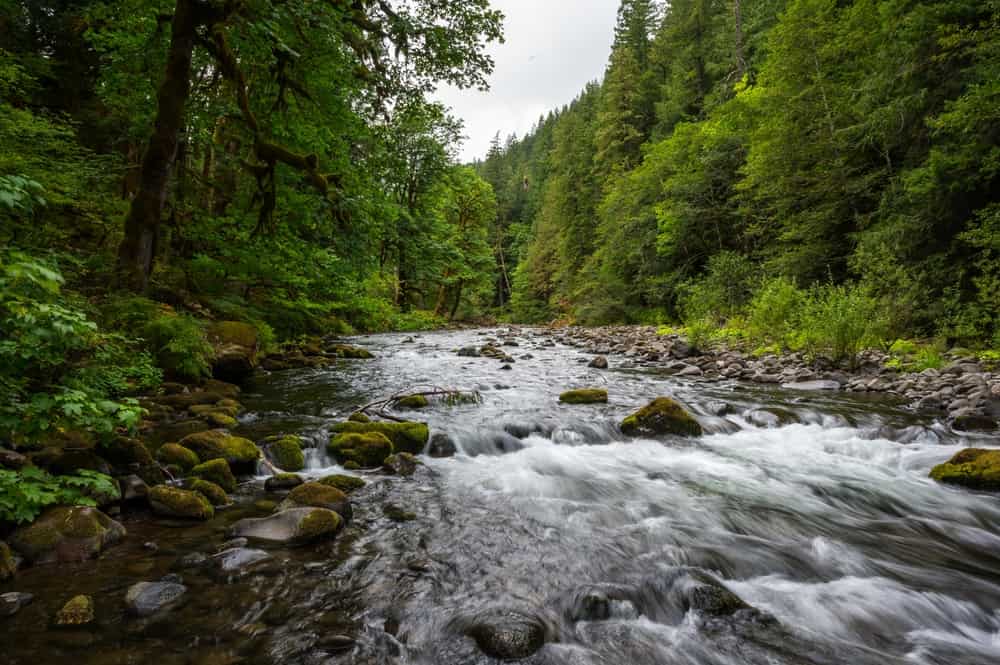 Salmon River acqua che scorre in Oregon