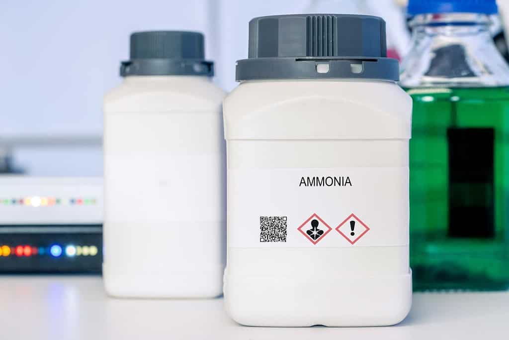 bottiglia di ammoniaca