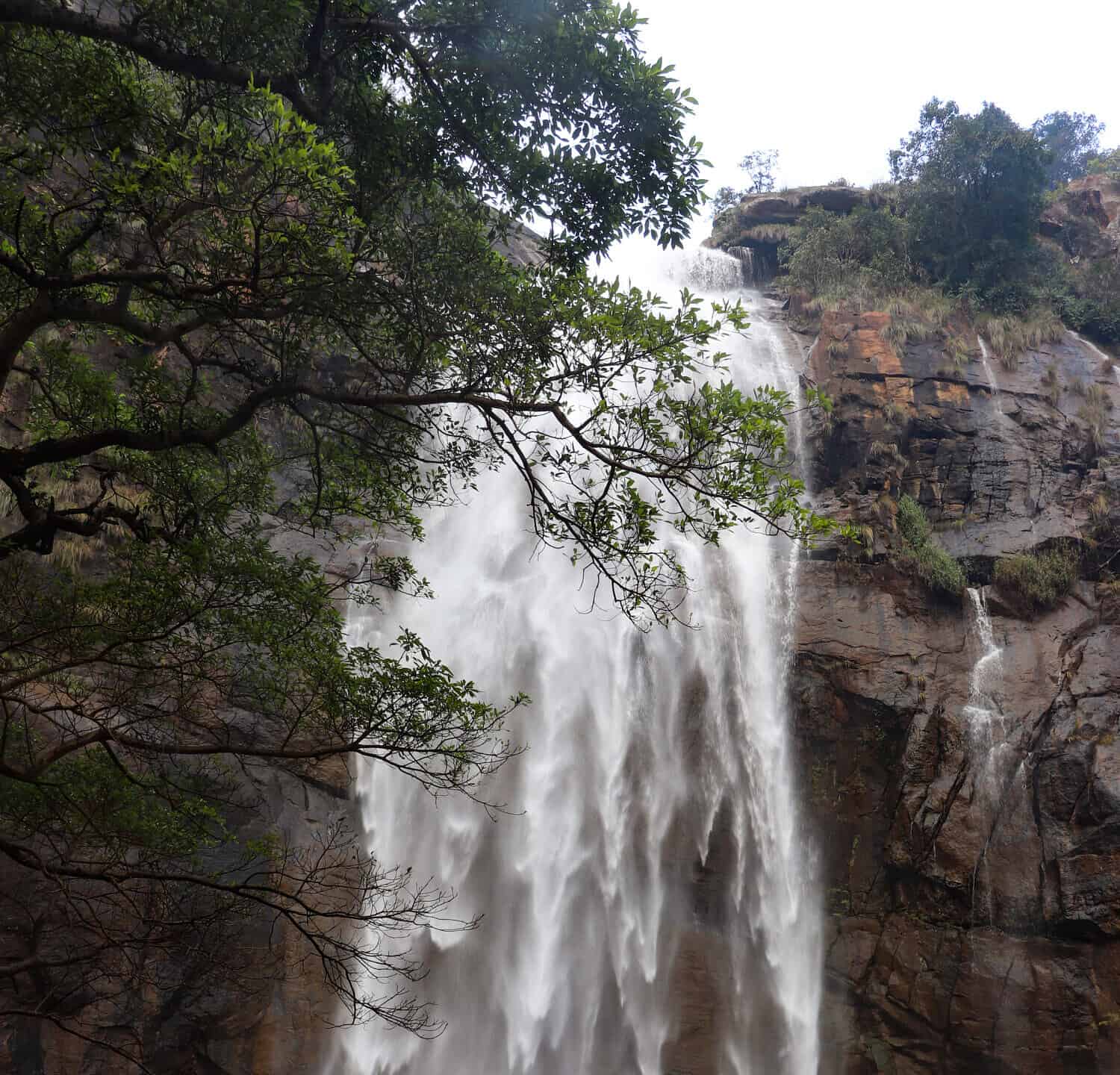 Le cascate di Agaya Gangai si trovano nelle colline Kolli dei Ghati orientali, in India.  Panchanathi, un ruscello nella giungla, scende a cascata come l'Agaya Gangai.