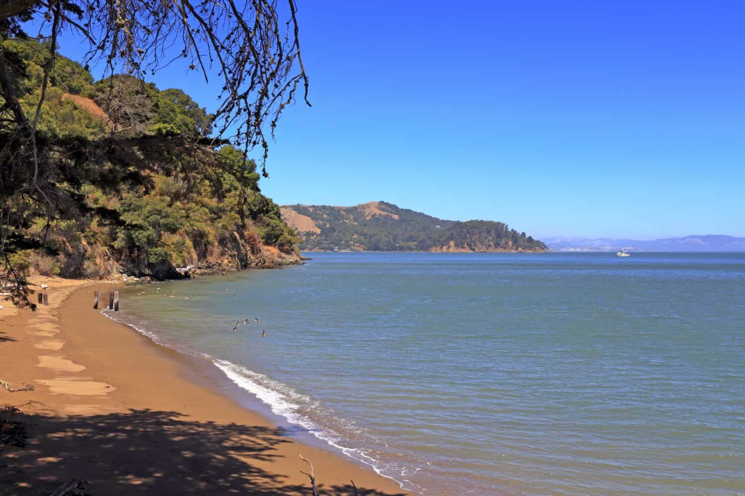 Calma acqua dell'oceano lungo il litorale di Angel Island, nella baia di San Francisco.