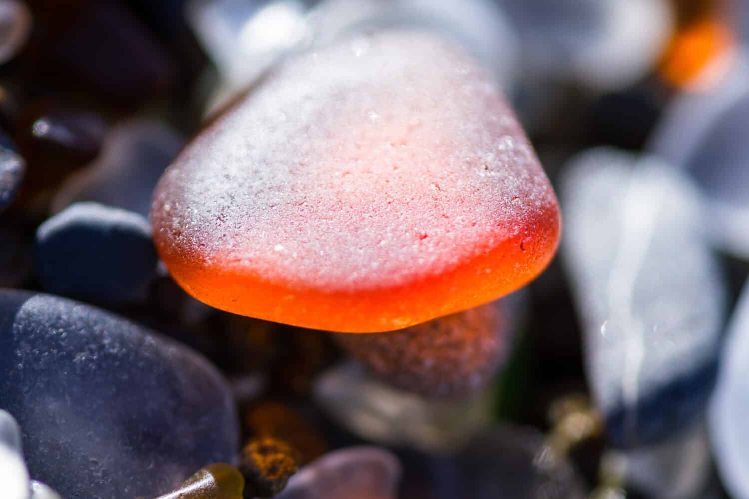 macro di un gruppo colorato di pezzi di vetro marino sotto il sole splendente