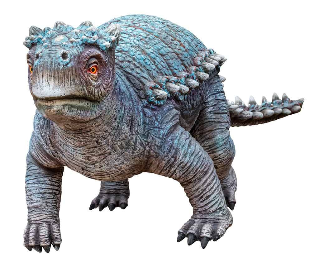 Minmi è un genere di piccoli dinosauri anchilosauri erbivori vissuti durante il periodo Cretaceo inferiore