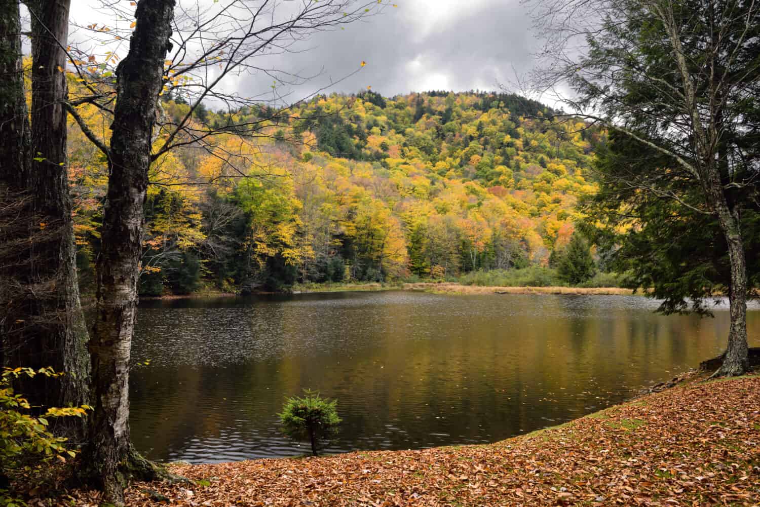 Una foto del lago Mansfield durante l'autunno. 