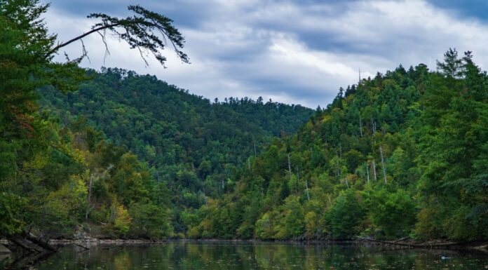 Il lago Chilhowee è un piccolo lago artificiale al confine tra il Tennessee e la Carolina del Nord.