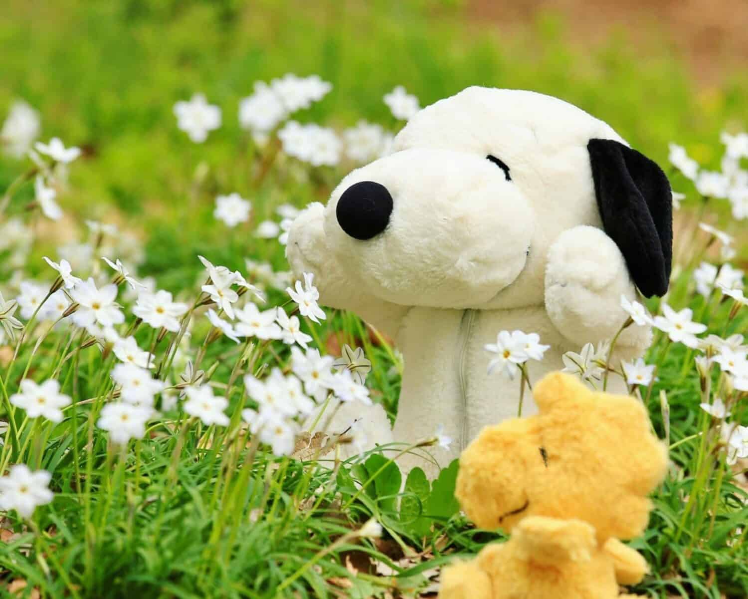 Sekiguchi Snoopy Retrons Snoopy è nel giardino fiorito