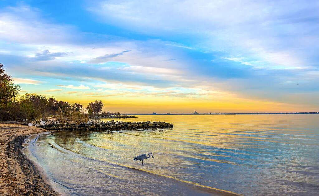 Chesapeake Bay, Maryland - Stato USA, Paesaggio, Spiaggia, Costa