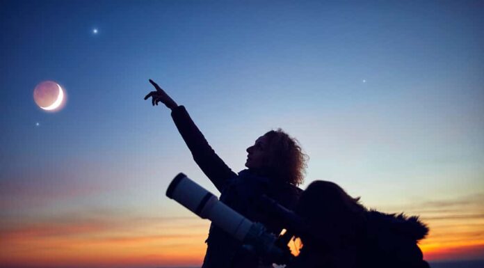  Di cosa è fatta Venere?  Ha acqua?
