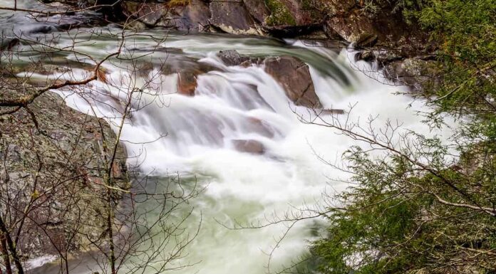 Immagine di un fiume.