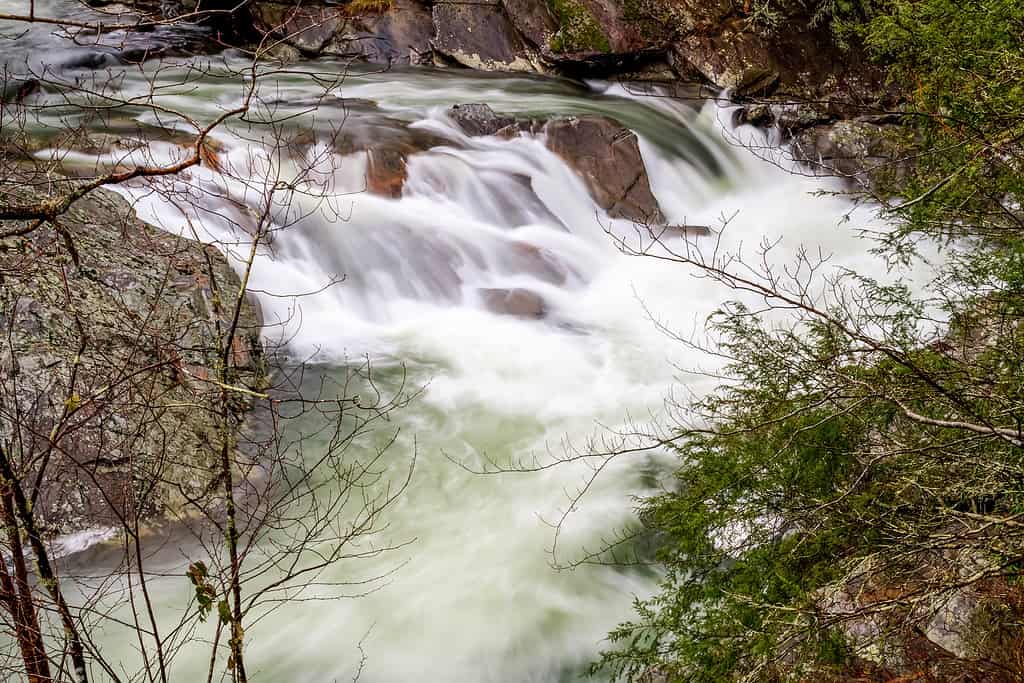 Immagine di un fiume.