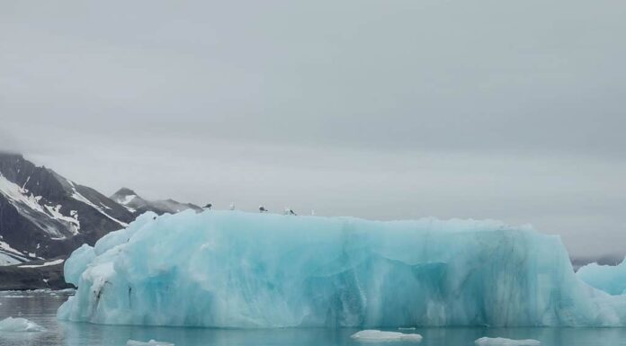 Iceberg da un ghiacciaio in fusione nell'Artico.