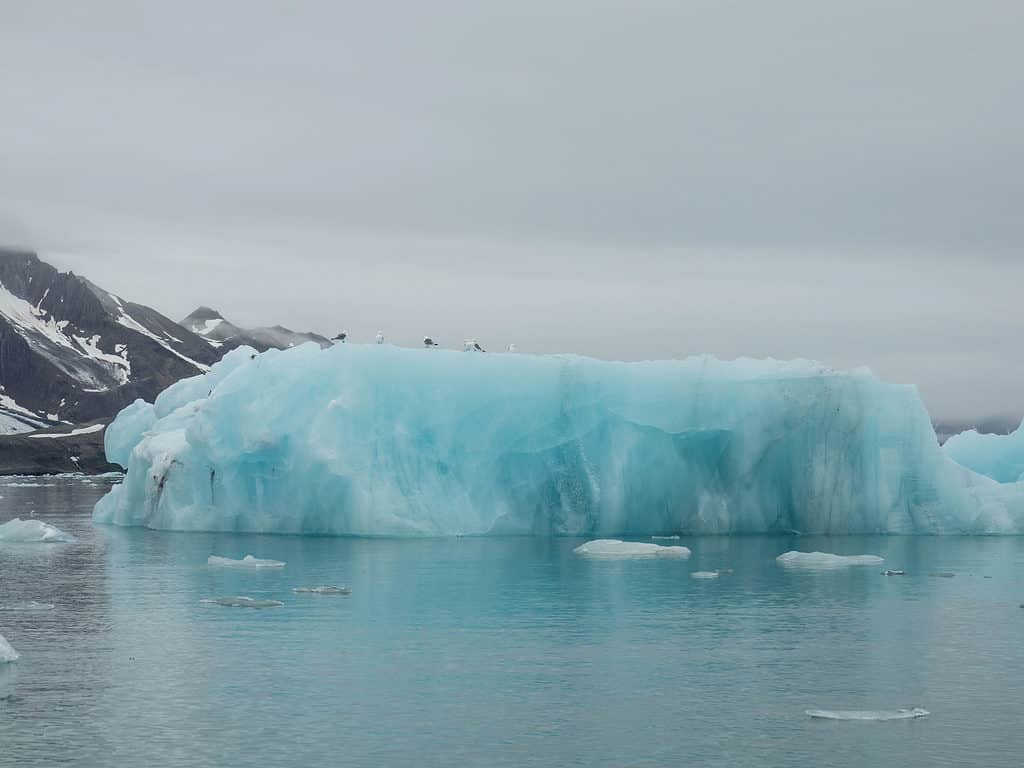 Iceberg da un ghiacciaio in fusione nell'Artico.