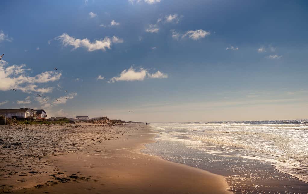 Una spiaggia serena con sabbia dorata e scintillanti onde blu. 