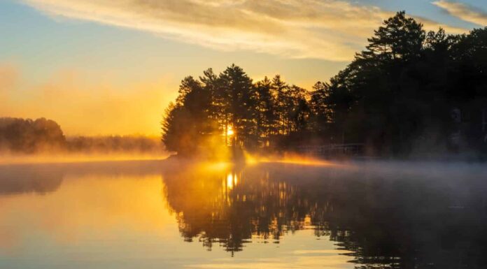 Sole che sorge su un lago in una mattinata nebbiosa