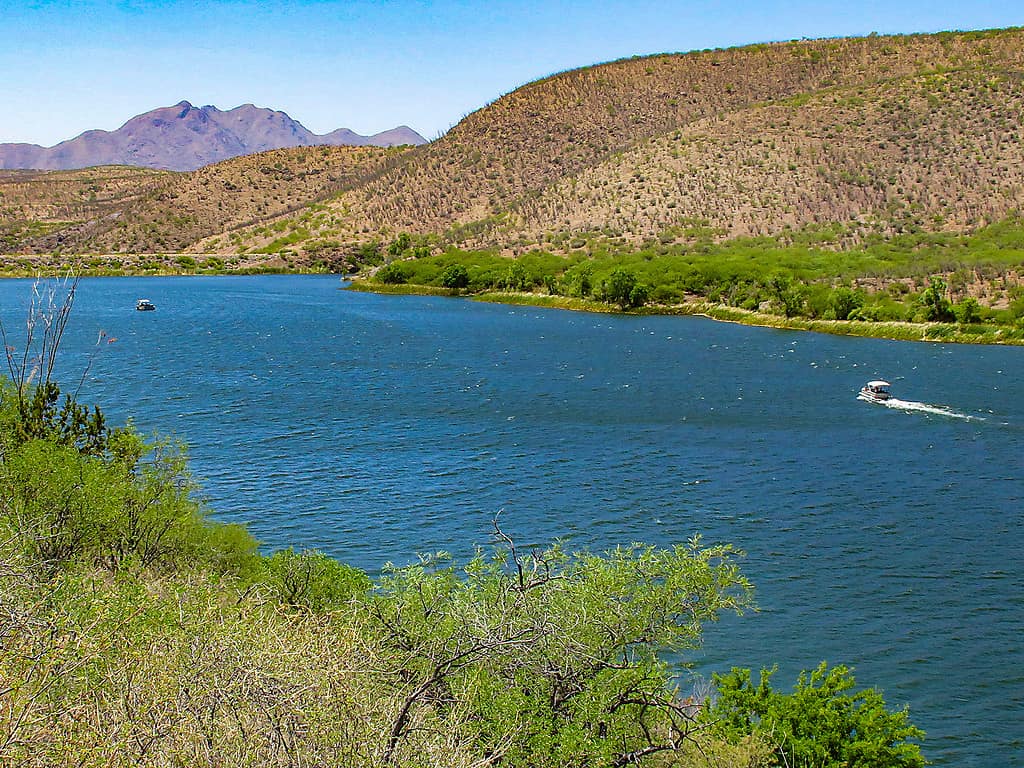 Lago Patagonia