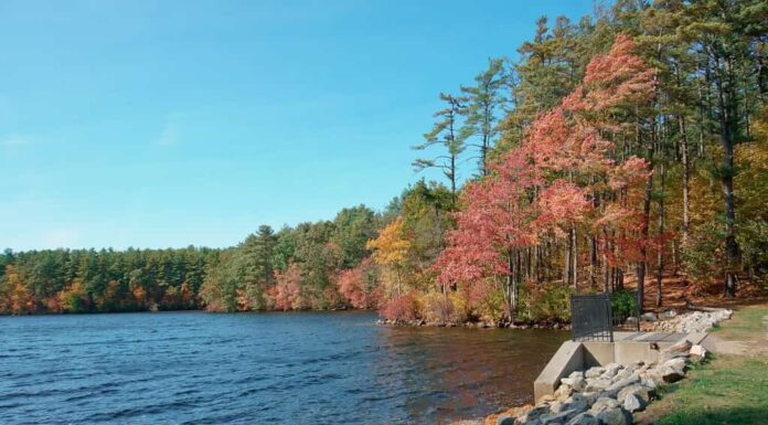 Vibrante fogliame autunnale presso la diga del serbatoio del Whitehall State Park. 