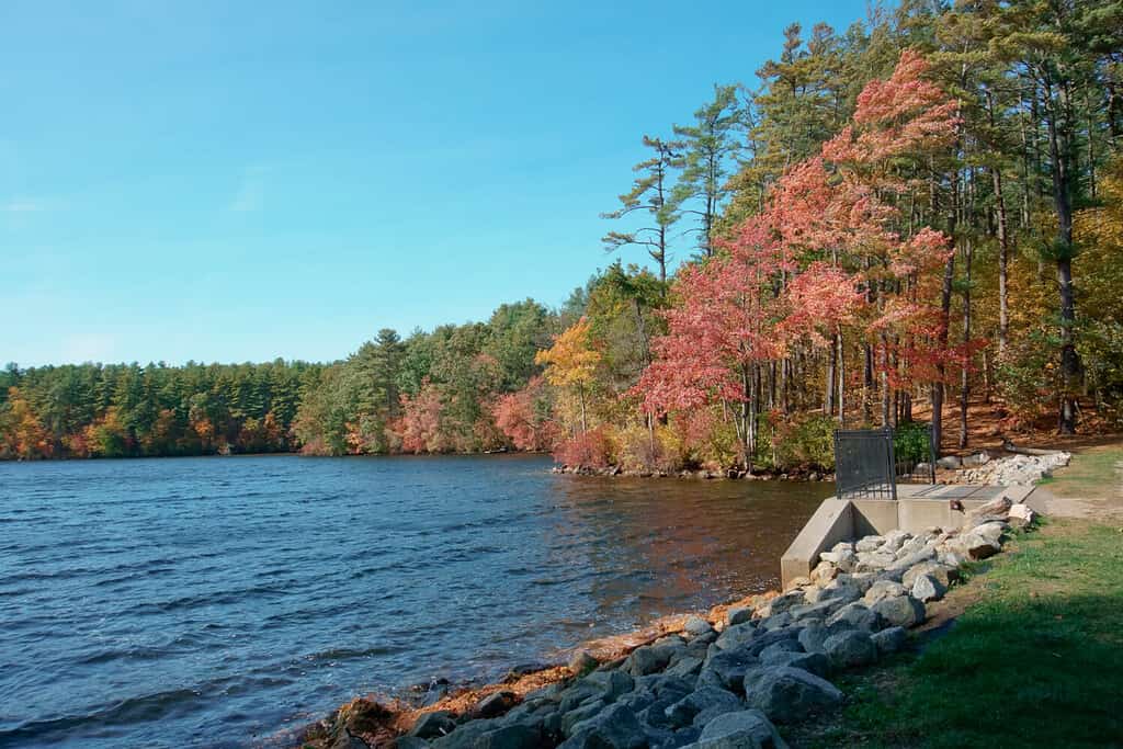 Vibrante fogliame autunnale presso la diga del serbatoio del Whitehall State Park. 