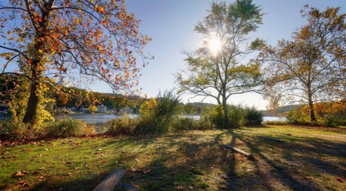 Un parco statale panoramico e tranquillo situato sul fiume Housatonic che offre sentieri escursionistici, aree balneabili e campeggi.