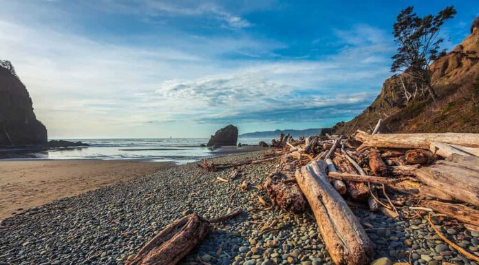 Un'immagine di una spiaggia dalle rive. 