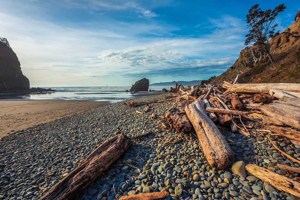 Un'immagine di una spiaggia dalle rive. 